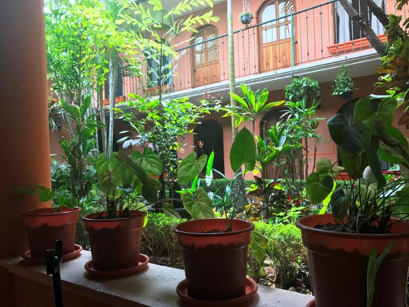 Hotel Posada San Jeronimo 科阿特佩克 外观 照片