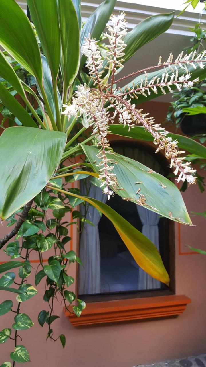 Hotel Posada San Jeronimo 科阿特佩克 外观 照片